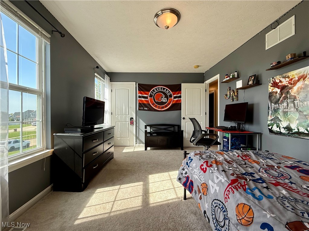 6133 Tyndale Lane, Medina, Ohio image 31