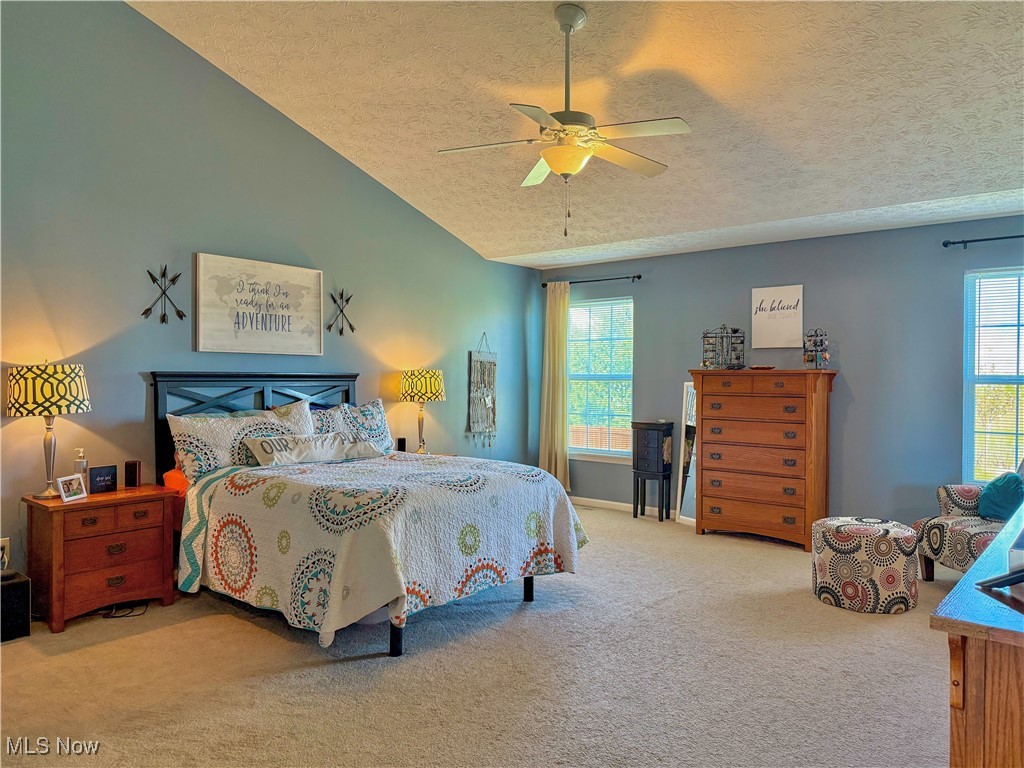 6133 Tyndale Lane, Medina, Ohio image 21