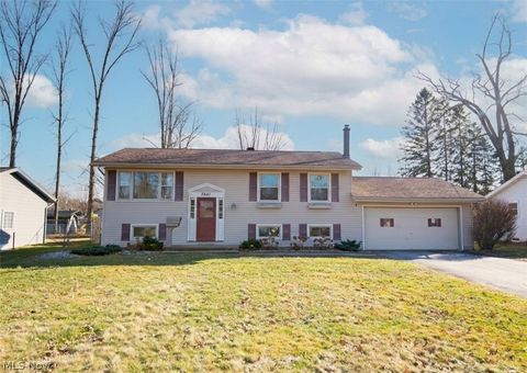 Photo of 3841 Nottingham Avenue, Youngstown, OH 44511 (MLS # 5180833)