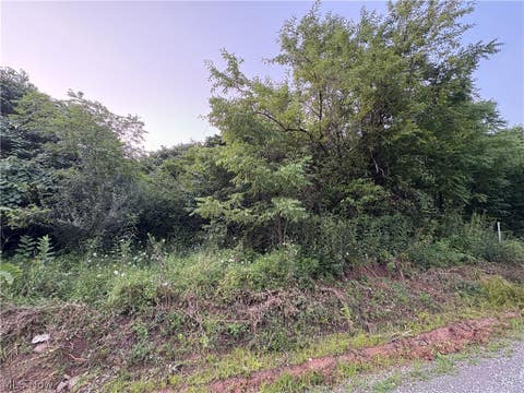Tiny photo for Britton Road, Senecaville, OH 43780 (MLS # 5235529)
