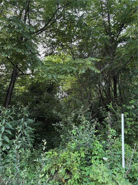 Tiny photo for Britton Road, Senecaville, OH 43780 (MLS # 5235529)