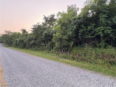 Tiny photo for Britton Road, Senecaville, OH 43780 (MLS # 5235529)