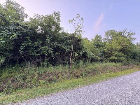 Tiny photo for Britton Road, Senecaville, OH 43780 (MLS # 5235529)