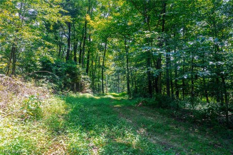 Vacant Land For Sale - 31800 Chestnut Ridge Road #1<br/> Knox County, Danville, OH 43050