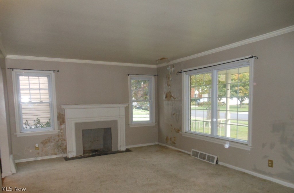 Martindale Allotment 01 - Residential