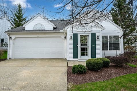 194 Kensington Court Aurora OH 44202