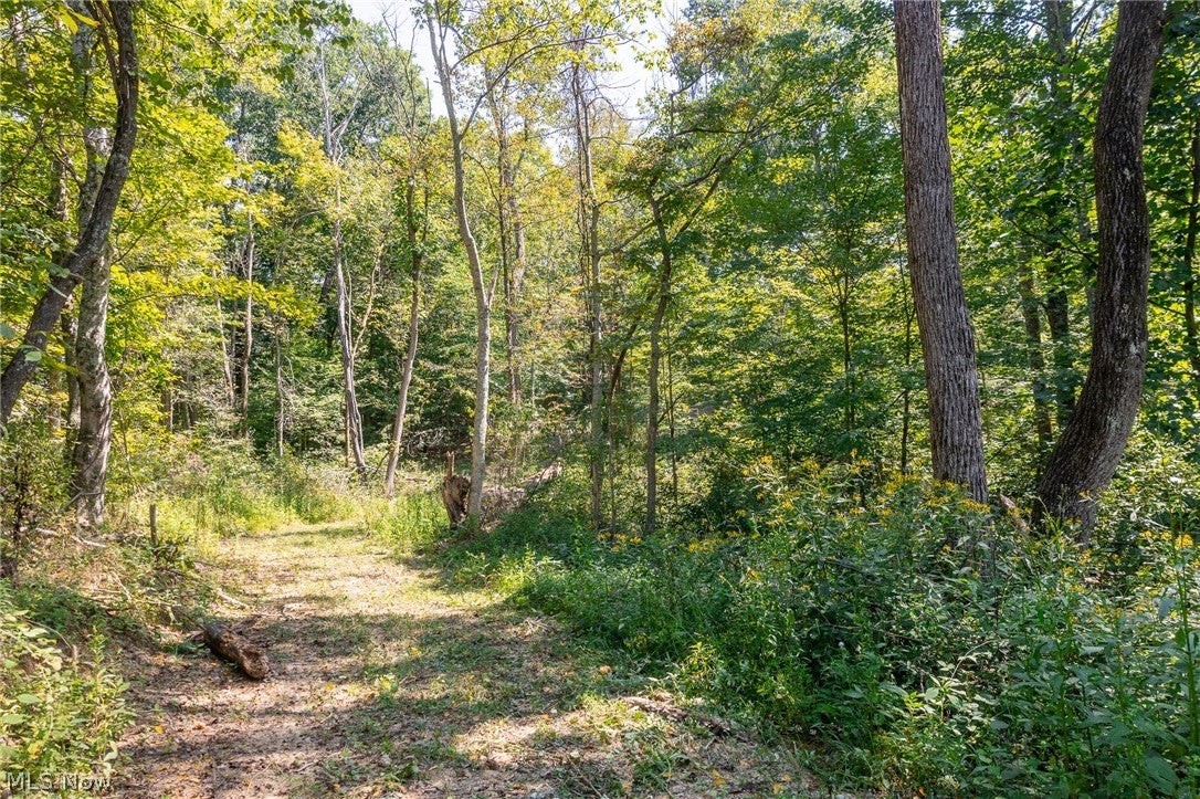 0 4 County Rd 269