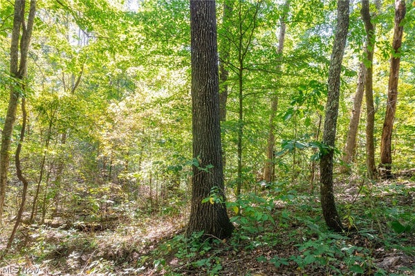CONNETT RD, NELSONVILLE, OH 45764 - Image aa7e7f84eaf01ca4d9f40d39cb9e3e99/2912919969