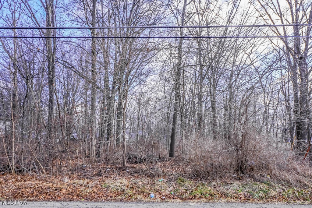 Take advantage of this 1/4-acre double lot in a convenient Alliance location! Perfect for building your new home, this combined parcel offers plenty of space in an established neighborhood. You'll appreciate the proximity to schools, everyday amenities, and easy highway access. A great opportunity for your next chapter!