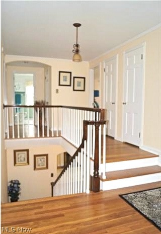 Forest Hill - Residential