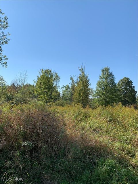 Vacant Land For Sale - VL State Route 82<br/> Garrettsville, OH 44231