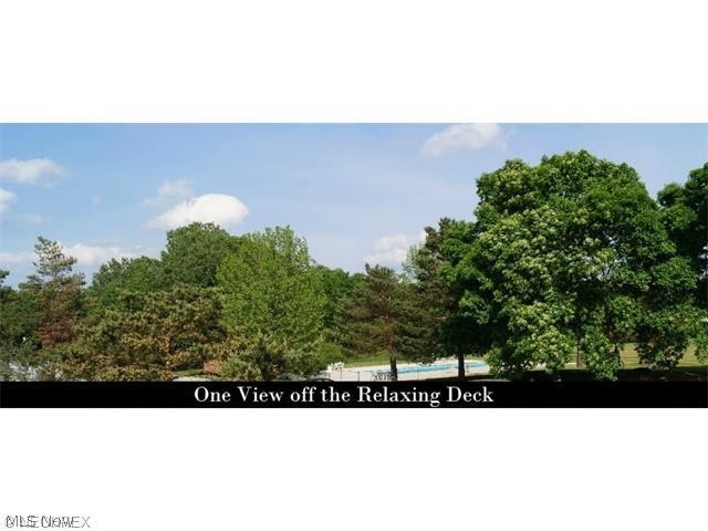 Raintree Condo - Residential