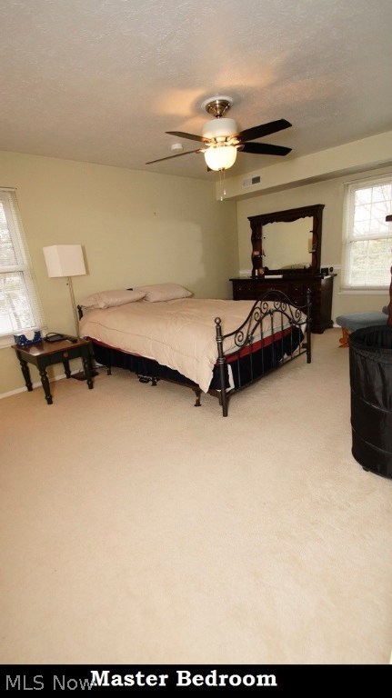 Raintree Condo - Residential