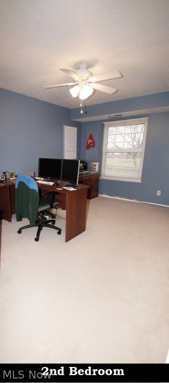 Raintree Condo - Residential