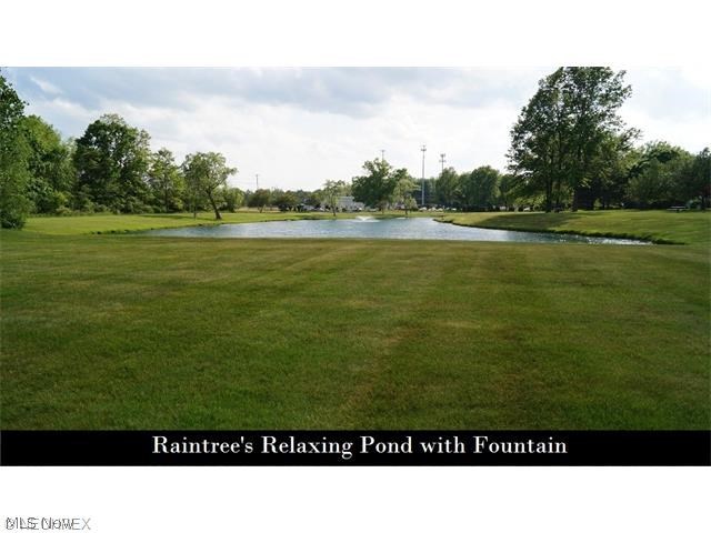 Raintree Condo - Residential