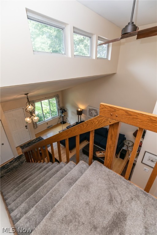 Merriman Hills - Residential