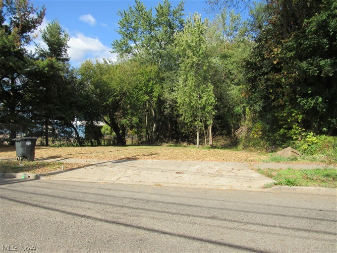 Tallmadge Township 4 - Land