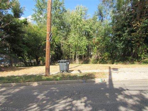 Vacant Land For Sale - 1199 Newton Street<br/> Akron, OH 44305