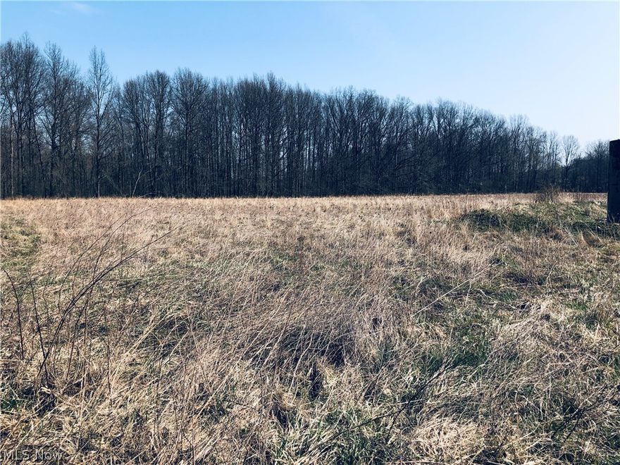 39.12 acres in Saybrook Twp. Half of the property has been cleared the other half is wooded. Plenty of area to build, hunt or for other recreational fun.