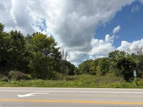 Vacant Land For Sale - Portage Line Road<br/> Akron, OH 44312