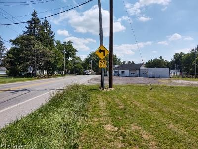 Grafton, Ohio 44044, United States, ,Commercial,Active,75626