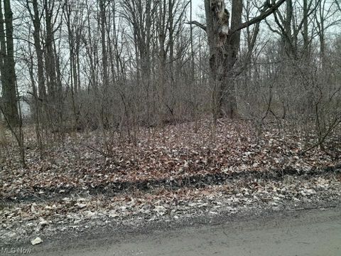 Vacant Land For Sale - Lakeview Road<br/> West Farmington, OH 44491