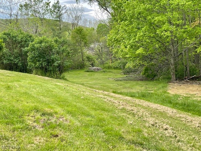 38722 State Route 518 Road, Lisbon, Ohio image 31