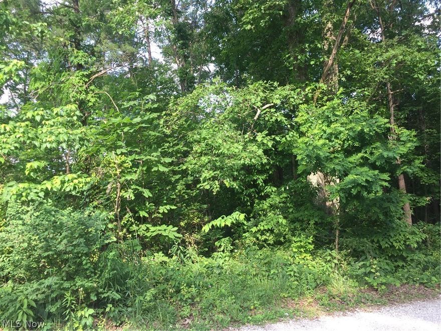 This beautiful treed 3.92 acre parcel is perfect for you to build your dream home on!  All utilities are at the road - easily accessible.
