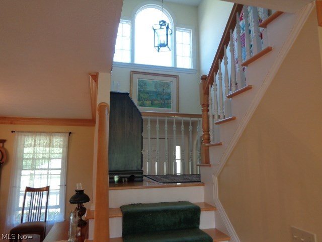 Olmsted 03 - Residential