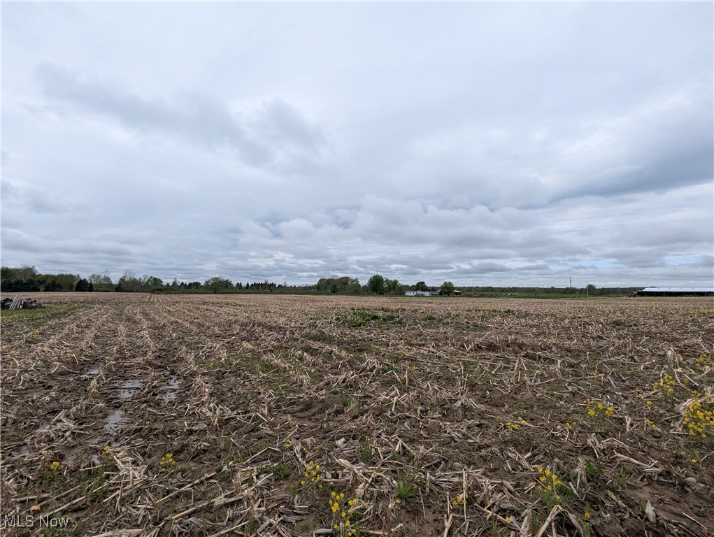 5922 Hall Road, Dorset, Ohio image 6