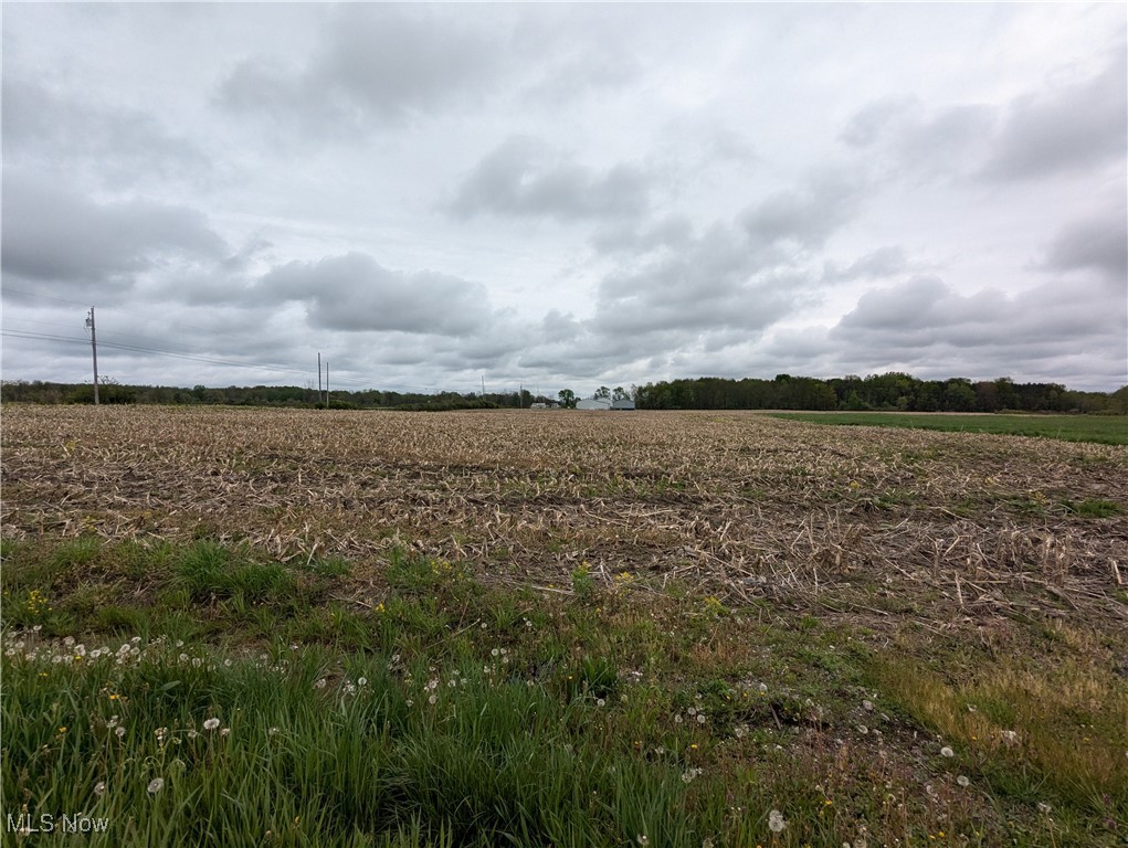 5922 Hall Road, Dorset, Ohio image 4