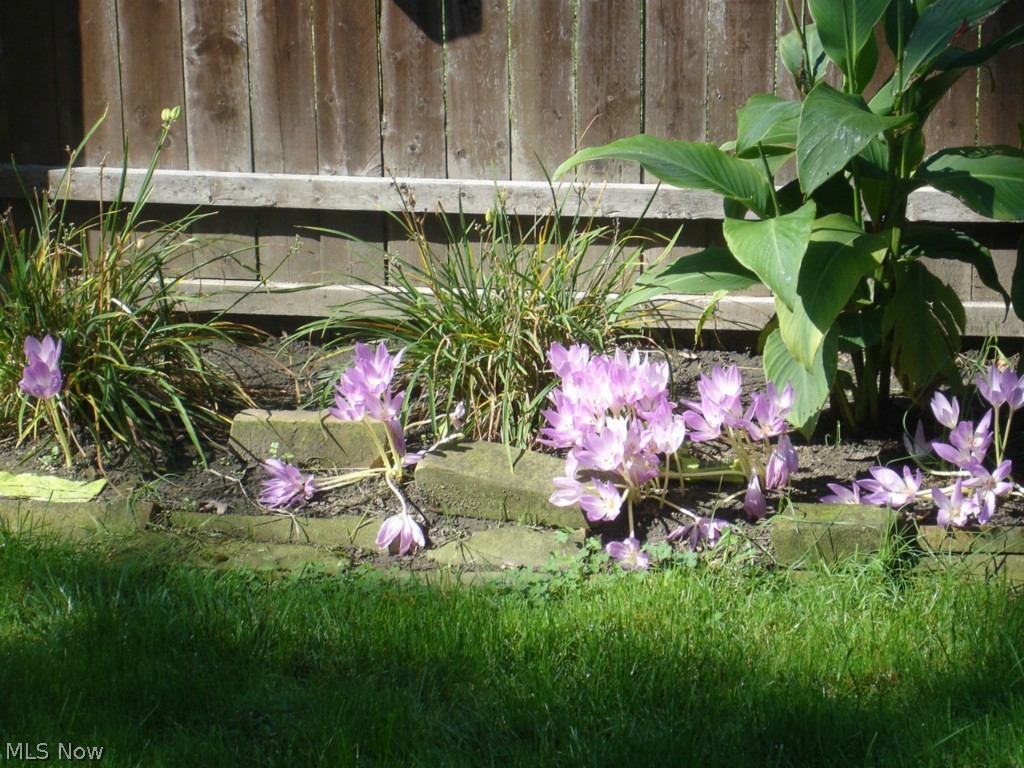 Ridgeville Heights - Residential