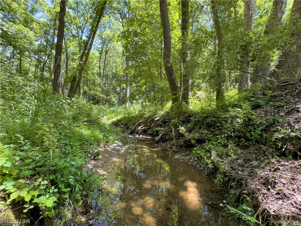 0 Long Hollow Road