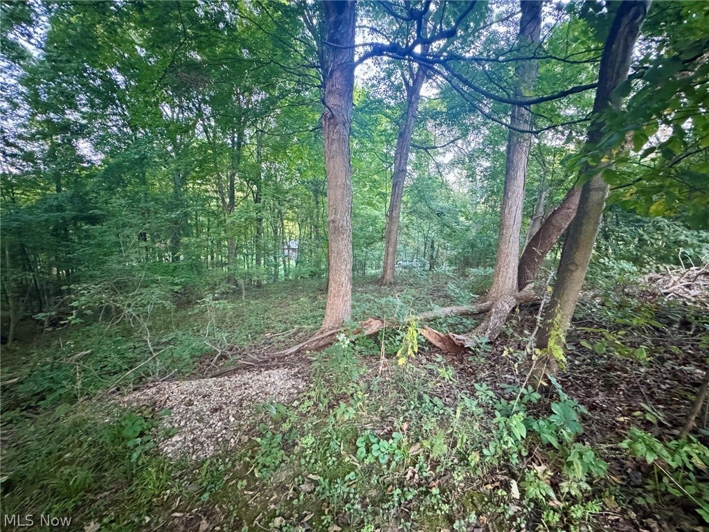 0 Tarkman Drive