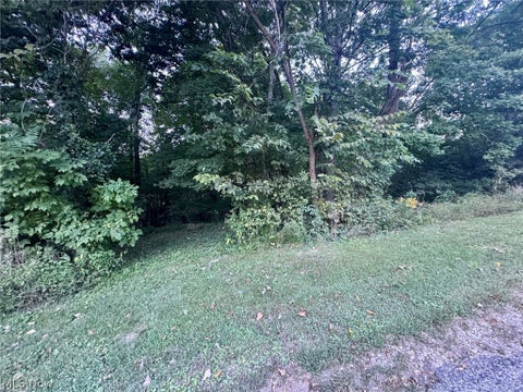 Vacant Land For Sale - Tarkman Drive<br/> Nashport, OH 43830