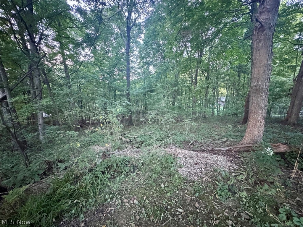 0 Tarkman Drive