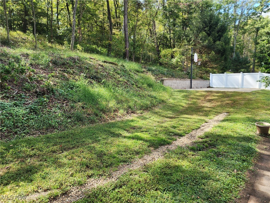 First Buena Vista Sub - Residential