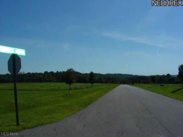 BLUESTONE LAKE - Land