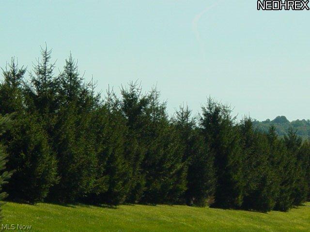 BLUESTONE LAKE - Land