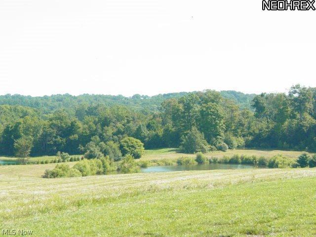 BLUESTONE LAKE - Land