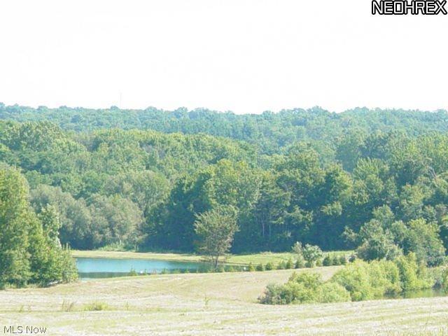 BLUESTONE LAKE - Land