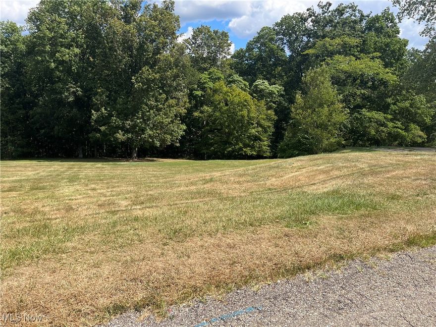 What a find!  Looking to build that dream home?  Beautiful 0.67 acre lot outside the village of Wintersville.  County water & sewer available at street.  Seller is retaining all mineral rights.