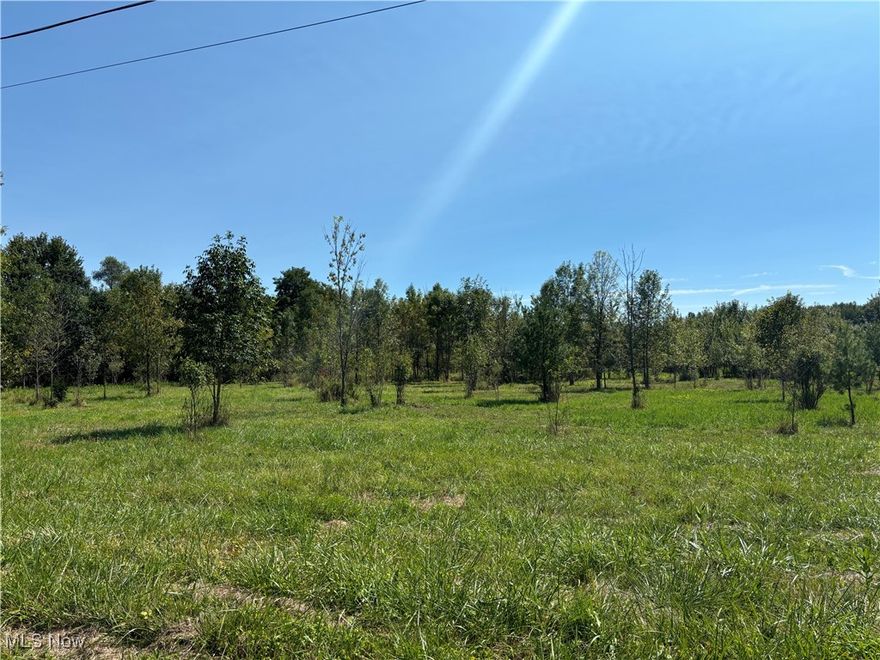 This beautiful 5.4 acre lot is just waiting for your design build ideas. Soil evaluation completed and approved. 
Located in Westfield Township yet close to main highways, dining, and entertainment. Be sure to call your favorite Realtor today to schedule a walk of the property. The possibilities are endless.  Lot dimensions 344' X 700' per auditors site.