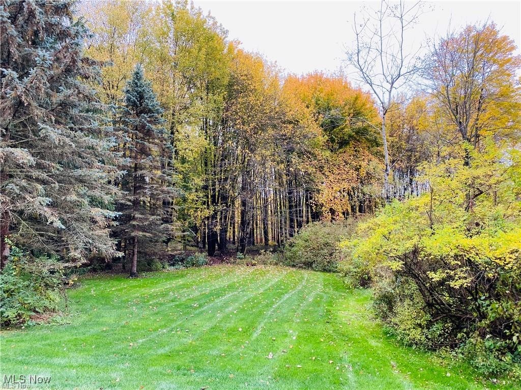 17805 Settlers Trail, Chagrin Falls, Ohio image 35
