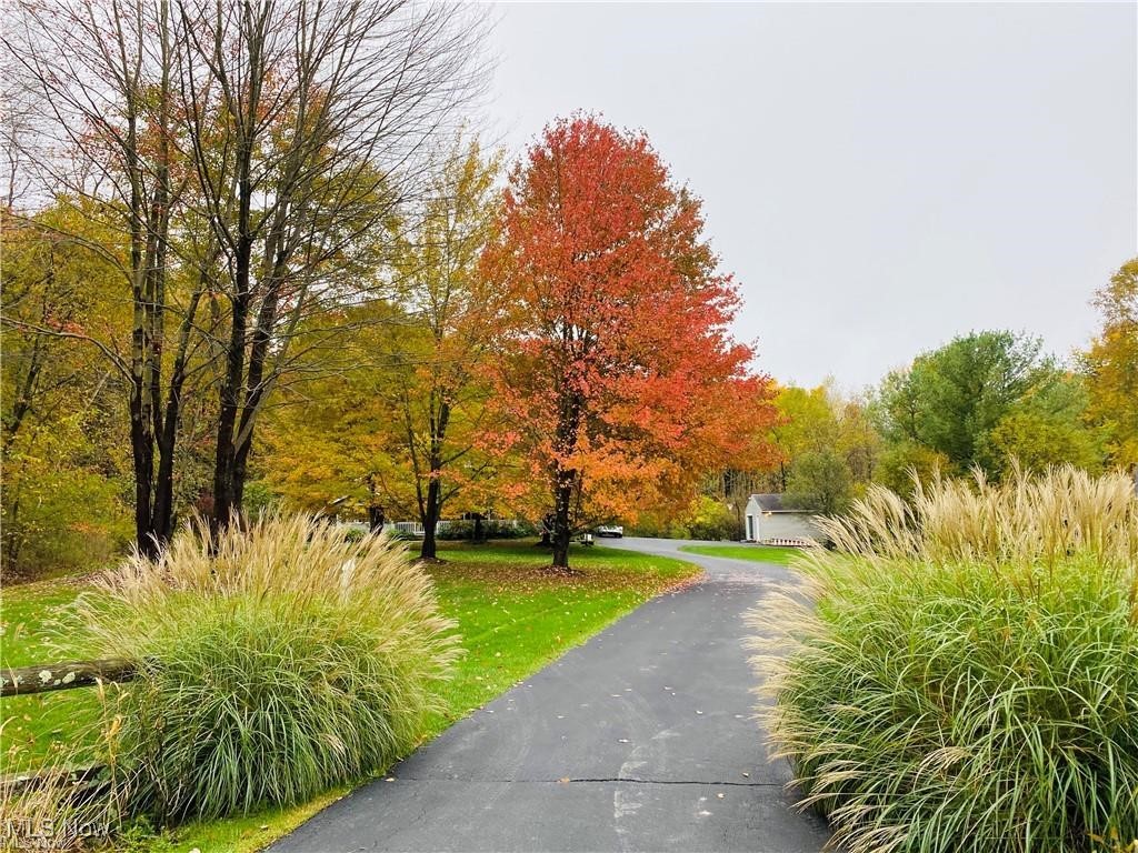 17805 Settlers Trail, Chagrin Falls, Ohio image 36