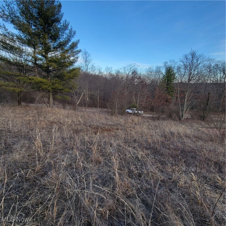 54780 Opossum Run Road #2316-2317, Senecaville, Ohio image 4