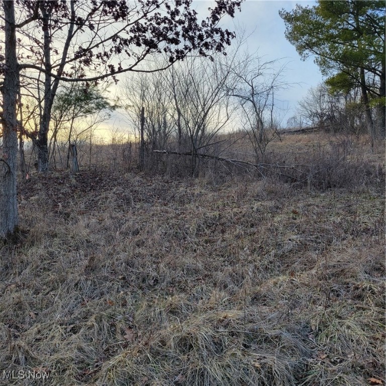 54780 Opossum Run Road #2316-2317, Senecaville, Ohio image 7