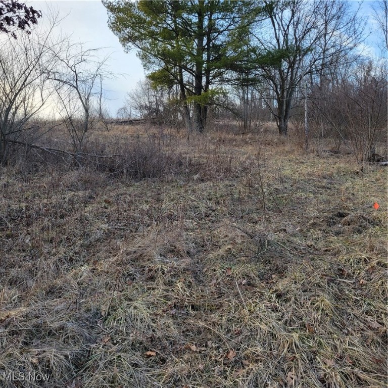 54780 Opossum Run Road #2316-2317, Senecaville, Ohio image 6