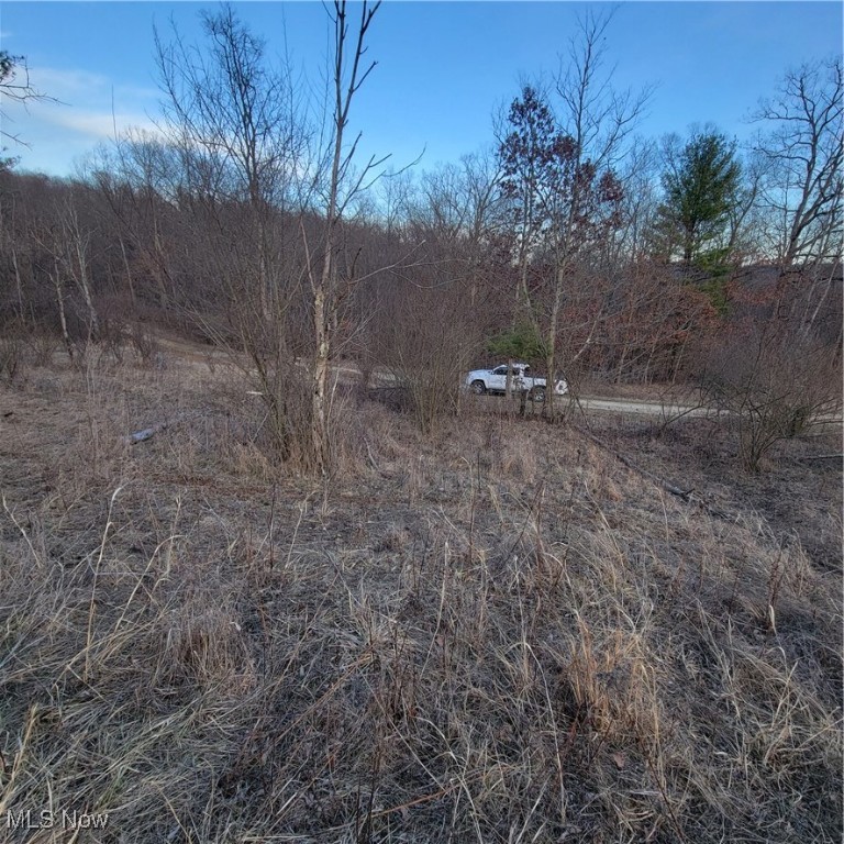54780 Opossum Run Road #2316-2317, Senecaville, Ohio image 3
