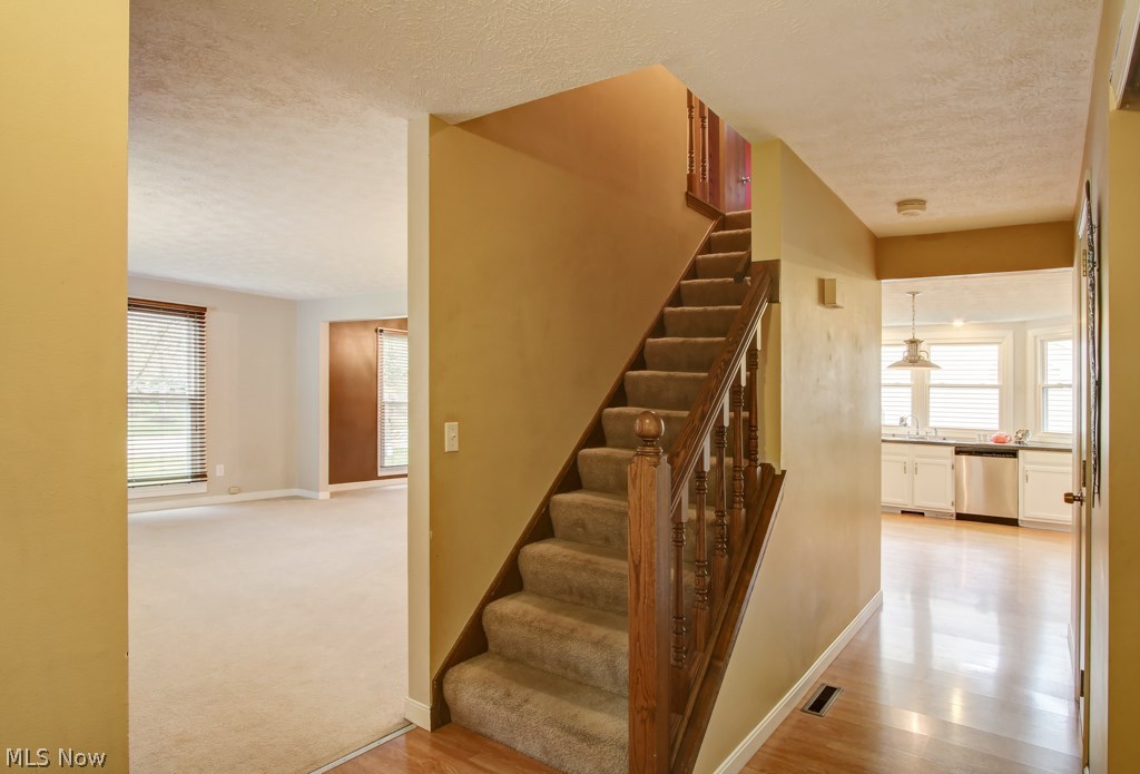 Colony Woods - Residential